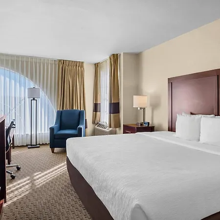 Quality Suites Irving-Las Colinas-3