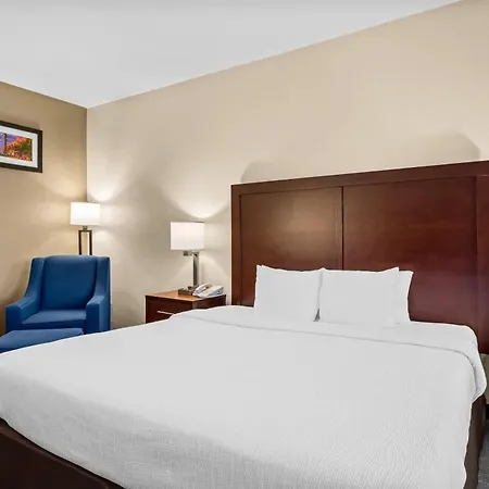 Quality Suites Irving-Las Colinas-2